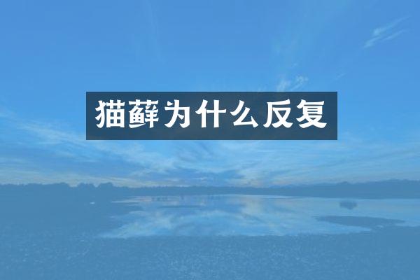 猫藓为什么反复
