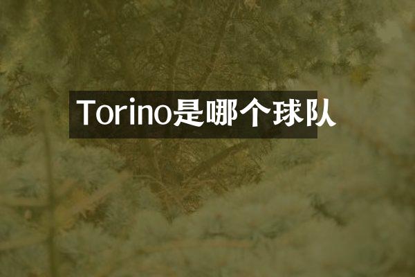 Torino是哪个球队