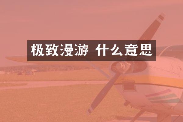 极致漫游 什么意思