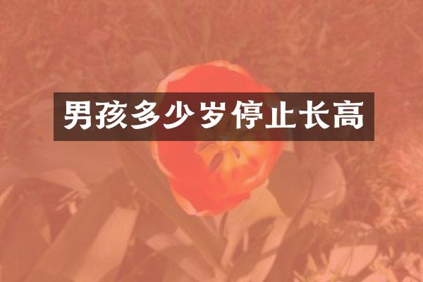 男孩多少岁停止长高