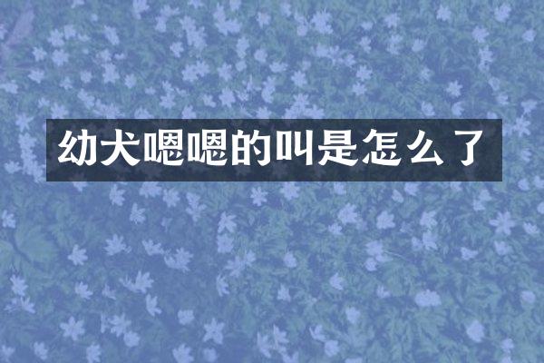 幼犬嗯嗯的叫是怎么了