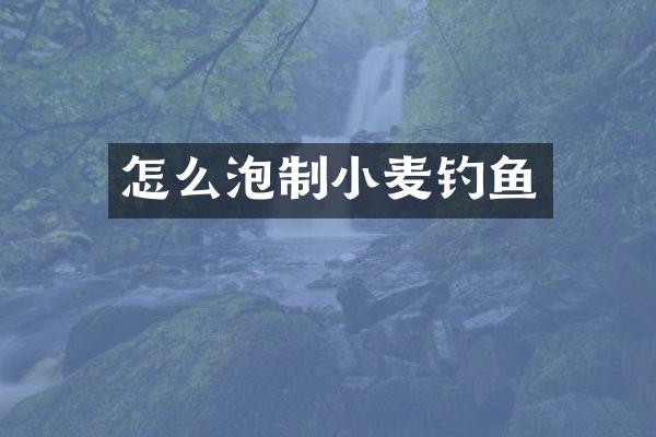 怎么泡制小麦钓鱼
