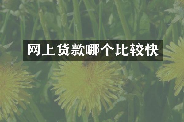 网上货款哪个比较快