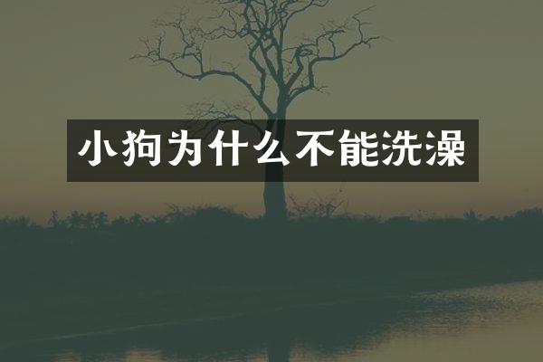 小狗为什么不能洗澡