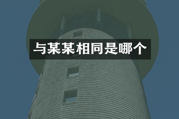 与某某相同是哪个