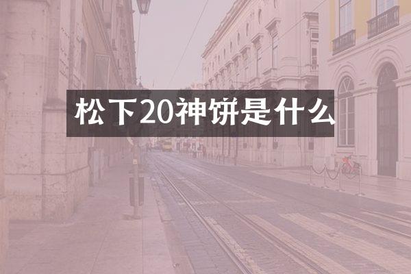 20神饼是什么