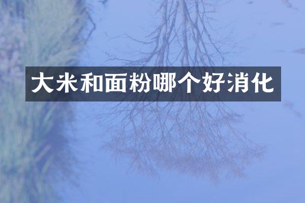 大米和面粉哪个好消化