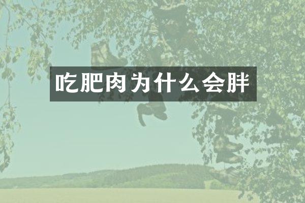 吃肥肉为什么会胖