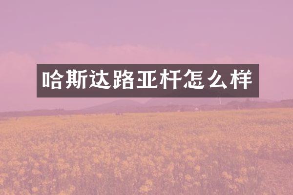 哈斯达路亚杆怎么样