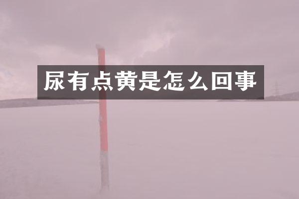 尿有点黄是怎么回事