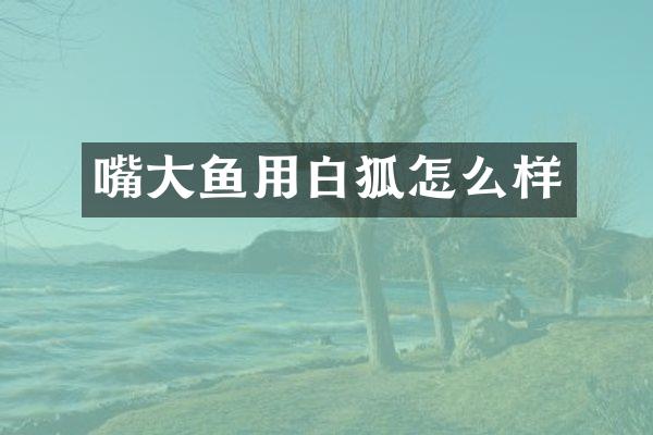 嘴大鱼用白狐怎么样