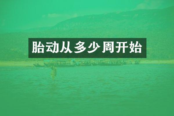 胎动从多少周开始