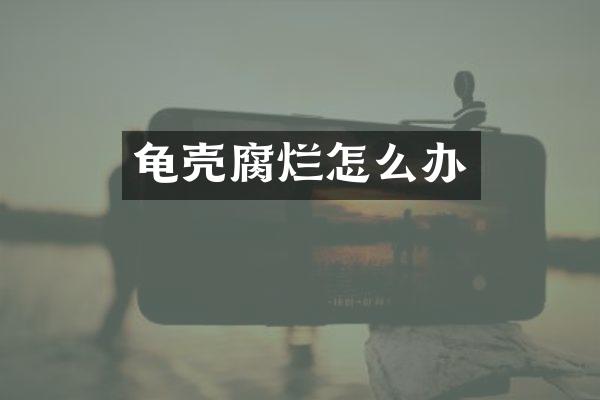 龟壳腐烂怎么办