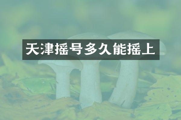 天津摇号多久能摇上