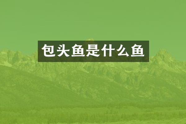 包头鱼是什么鱼