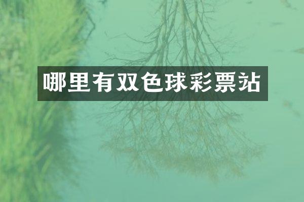 哪里有双色球彩票站