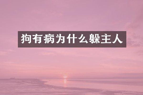狗有病为什么躲主人