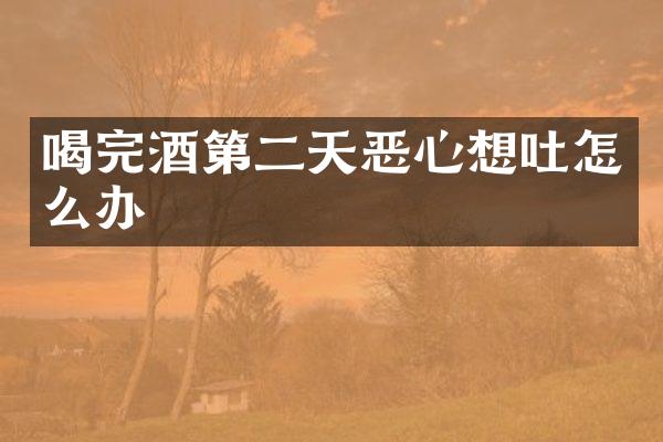 喝完酒第二天恶心想吐怎么办