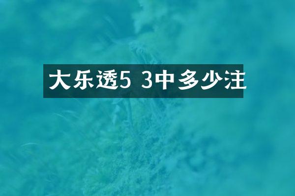 大5 3中多少注