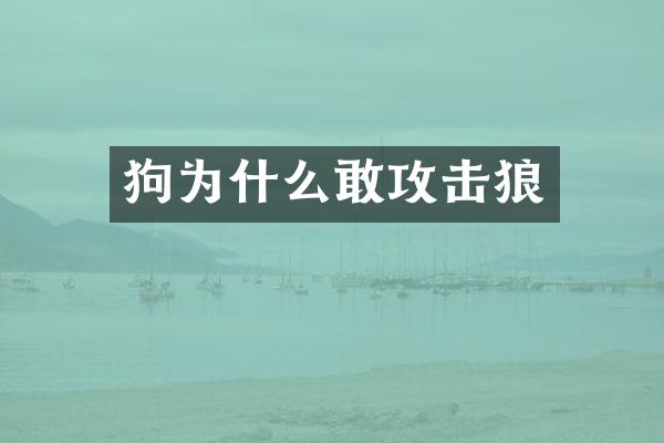 狗为什么敢攻击狼