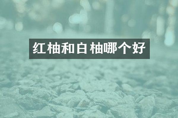 红柚和白柚哪个好