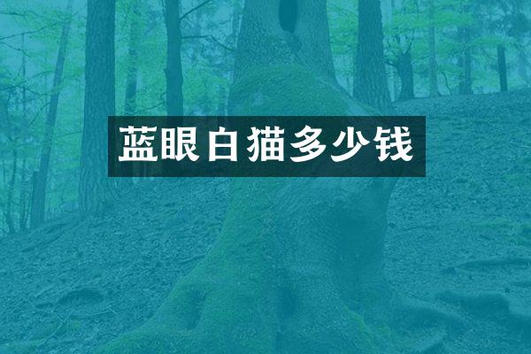 蓝眼白猫多少钱