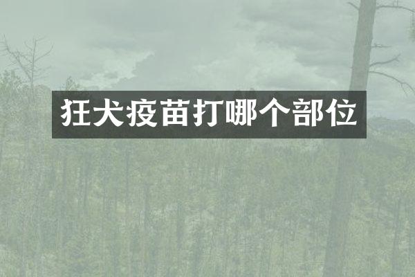 狂犬疫苗打哪个部位