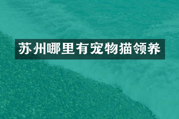 苏州哪里有宠物猫领养