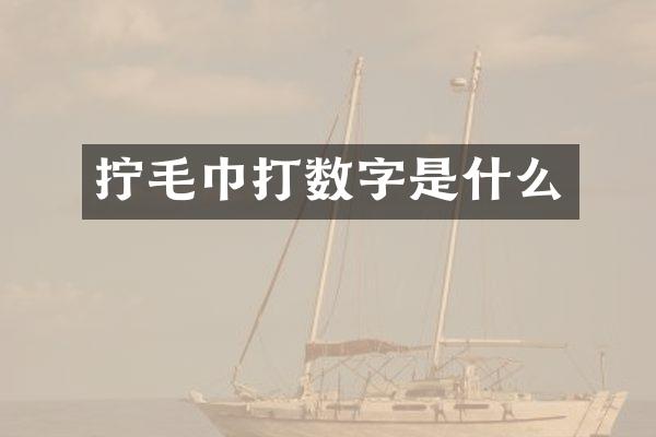 拧毛巾打数字是什么