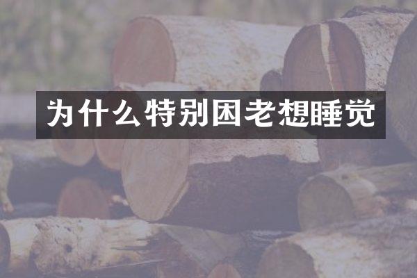 为什么特别困老想睡觉