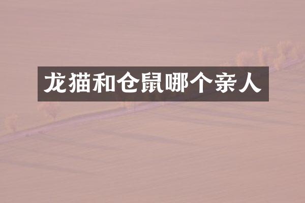 龙猫和仓鼠哪个亲人