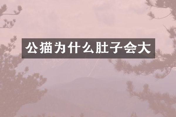 公猫为什么肚子会大