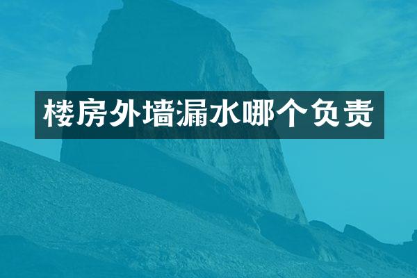 楼房外墙漏水哪个负责
