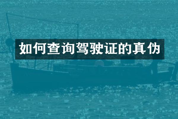 如何查询驾驶证的真伪