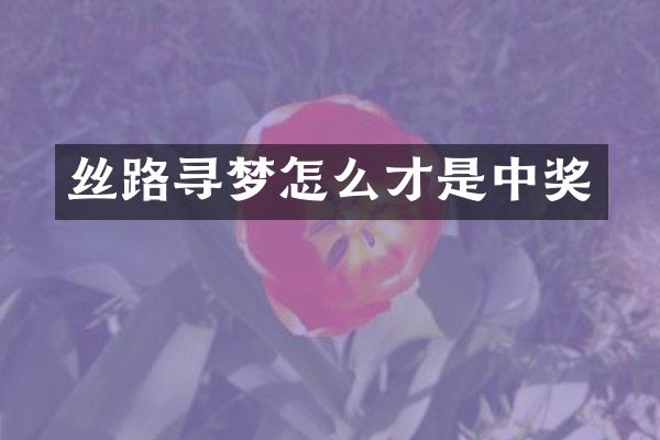 丝路寻梦怎么才是中奖