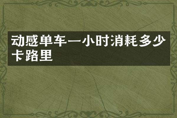 动感单车一小时消耗多少卡路里
