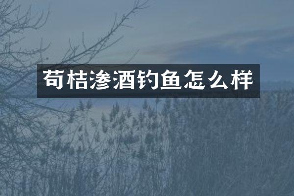 苟桔渗酒钓鱼怎么样