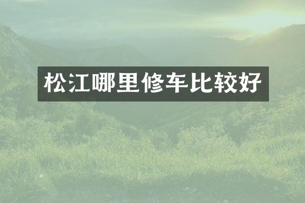 松江哪里修车比较好