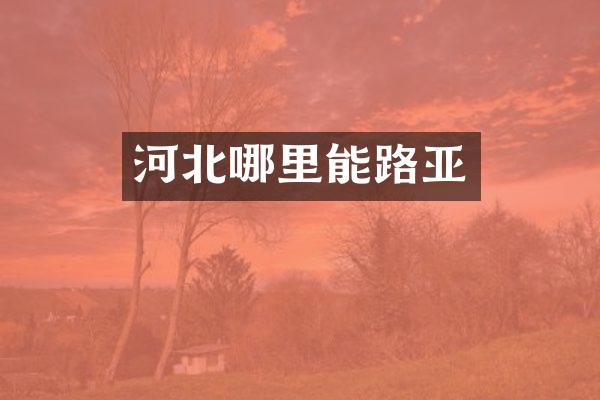 河北哪里能路亚