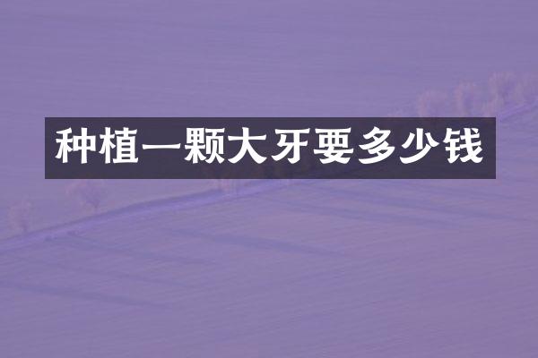 种植一颗大牙要多少钱