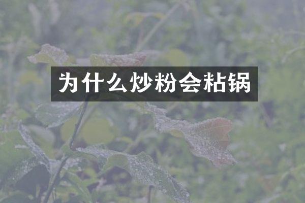 为什么炒粉会粘锅
