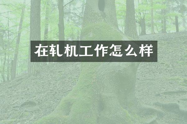 在轧机工作怎么样