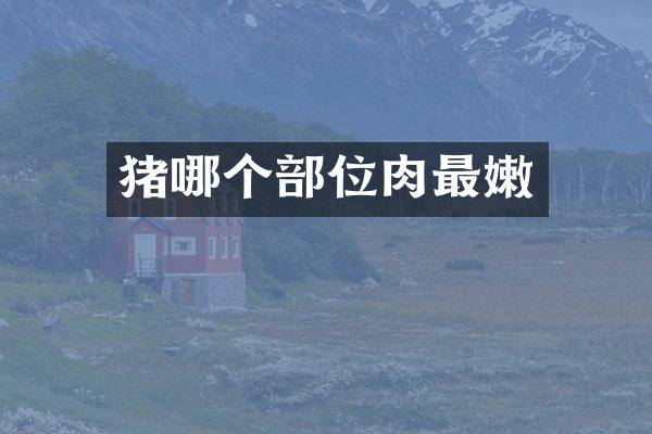 猪哪个部位肉最嫩