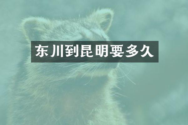 东川到昆明要多久