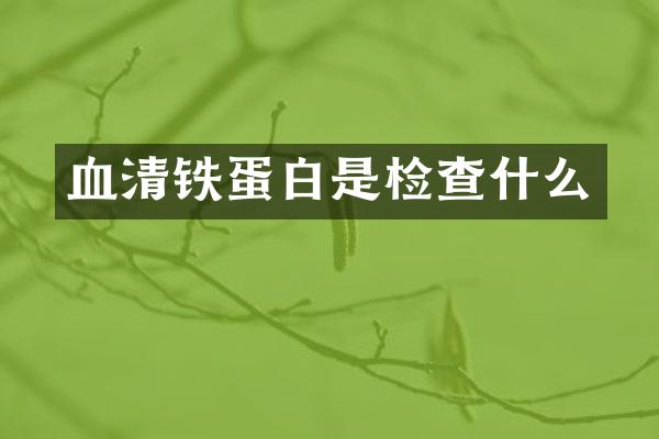 血清铁蛋白是检查什么