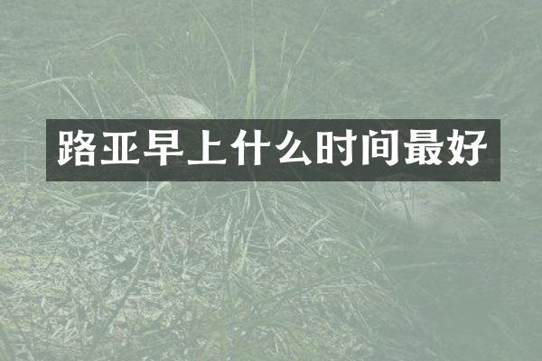 路亚早上什么时间最好
