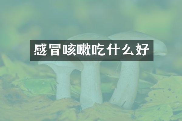 感冒咳嗽吃什么好