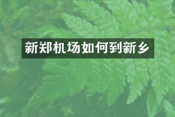 新郑机场如何到新乡