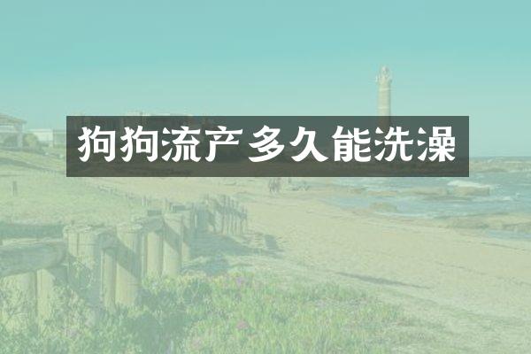 狗狗流产多久能洗澡