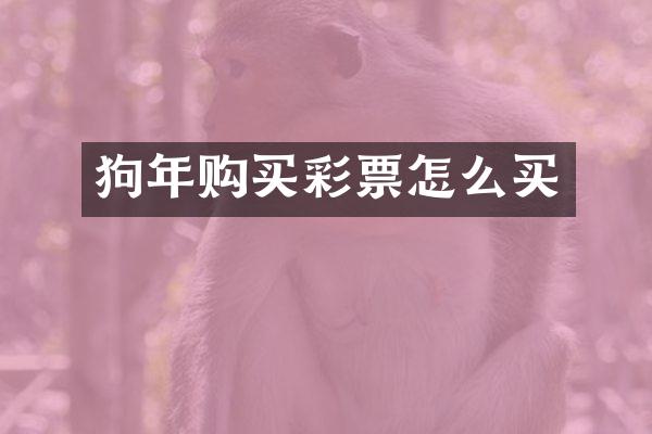 狗年购买彩票怎么买